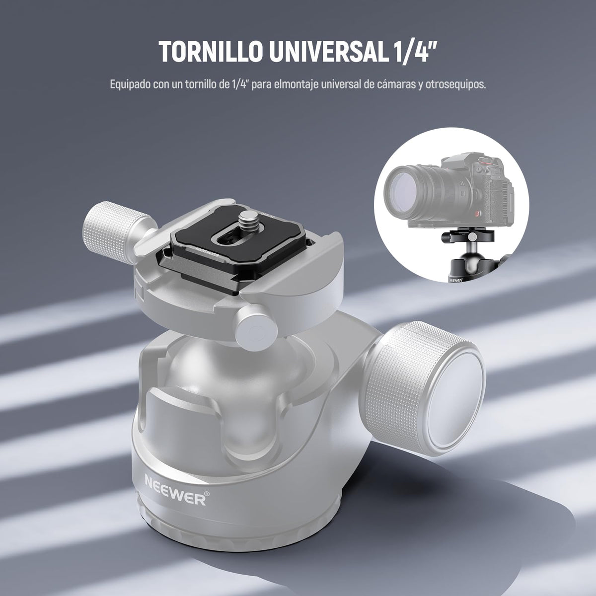NEEWER 2 Pack Quick Release Plate Kit, 38mm QR Adaptador Montaje Cámara Compatible con Arca Swiss, Montaje Trípode con Correa Hombro, Interruptor Rápido, Anti Off con Washers, QPR-5C