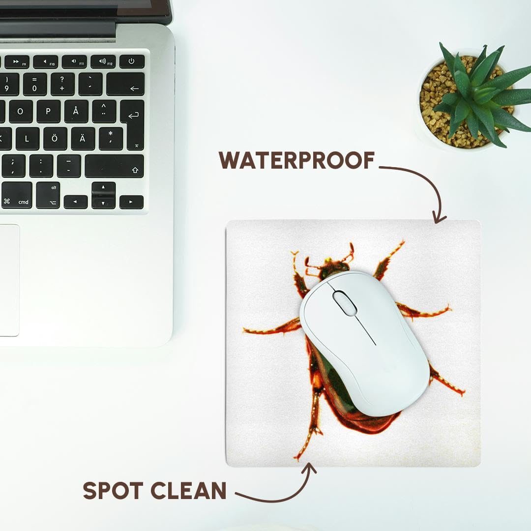 3dRose 8 x 8 x 0.25 Inches Mouse Pad, Golden Scarab Beetle (mp_155920_1)
