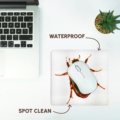 3dRose 8 x 8 x 0.25 Inches Mouse Pad, Golden Scarab Beetle (mp_155920_1)