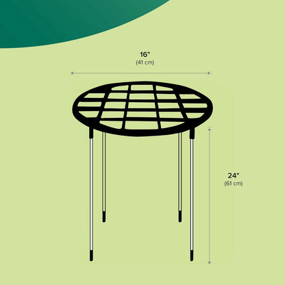 Gardman R754 Grow Through Hoops con 3 Patas, 16 Pulgadas de Ancho x 62 Pulgadas de Alto.