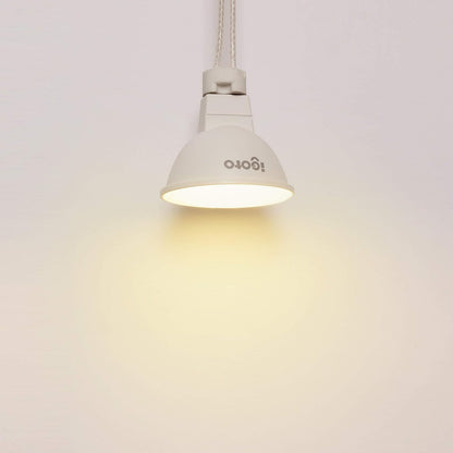 iGOTO F20405 Foco LED MR16, GU5.3, 5 Watts, Luz Cálida