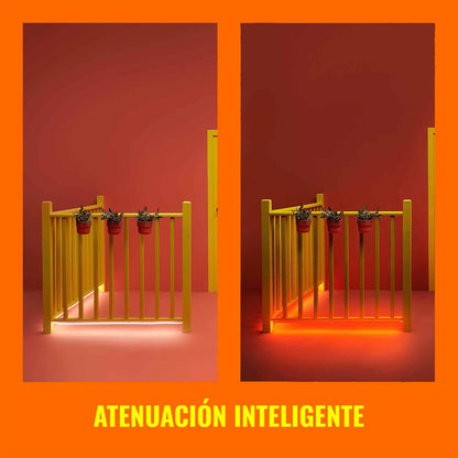 WiZ Tira Inteligente Neón + Playera Mercedes Gratis Este Producto Incluye la Playera de Regalo. La Talla se asignará de Manera aleatoria según la disponibilidad y no es Posible elegirla.