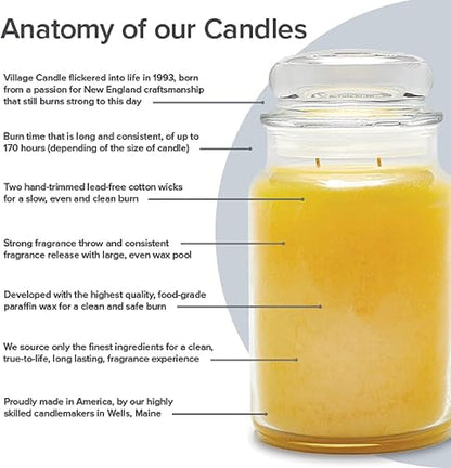 Village Candle Vela aromática en tarro grande de cristal con aroma de menta de eucalipto, 22 onzas, verde