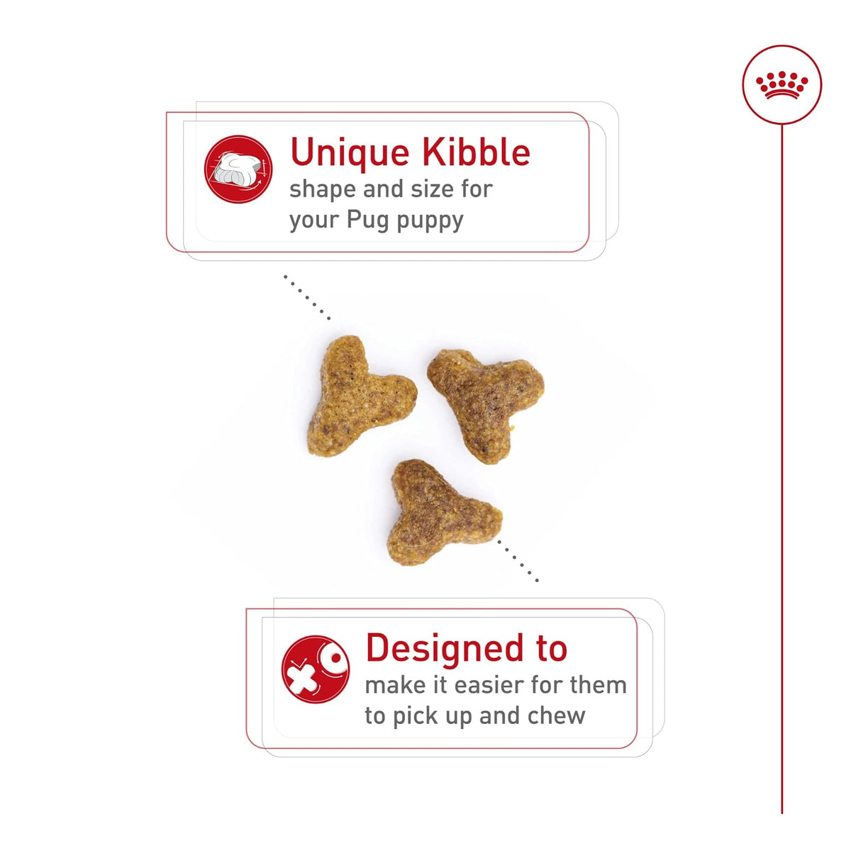 ROYAL CANIN, Puppy - Pug, Croquetas para Perro, 1.1kg