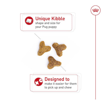 ROYAL CANIN, Puppy - Pug, Croquetas para Perro, 1.1kg