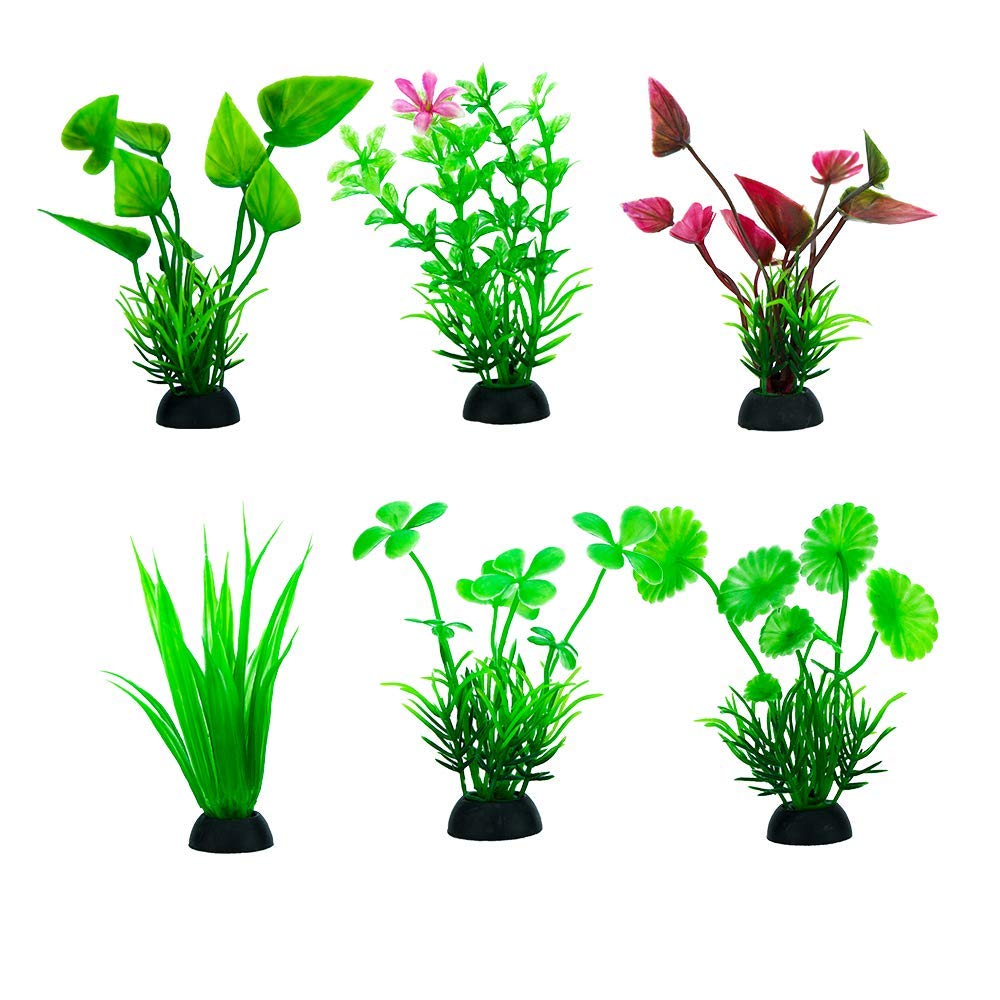 Lomas Grava P/Acuario - Grano Grueso 3 kg + Plantas para Acuario 3" (7.5 cm), 6 Piezas