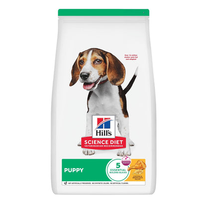 Hill's Science Diet Croquetas para Cachorro Sabor Pollo 2Kg | Croquetas Hill's para perro, pollo real, crecimiento sano, desarrollo cerebral con DHA, soporte inmunológico