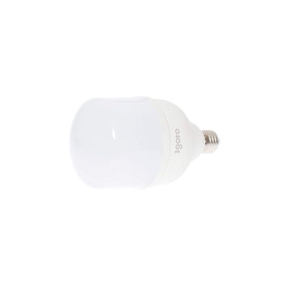 iGoto F10P-10109 Pack de 10 Focos Led A60, 9W Luz Fría + F10520 Foco led T80, 20W, Luz Fría