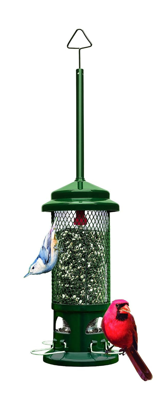 Brome Squirrel Buster - Alimentador de pájaros estándar a Prueba de Ardillas con 4 percas de Metal, Capacidad de Semillas de 1 Libra, Verde jardín