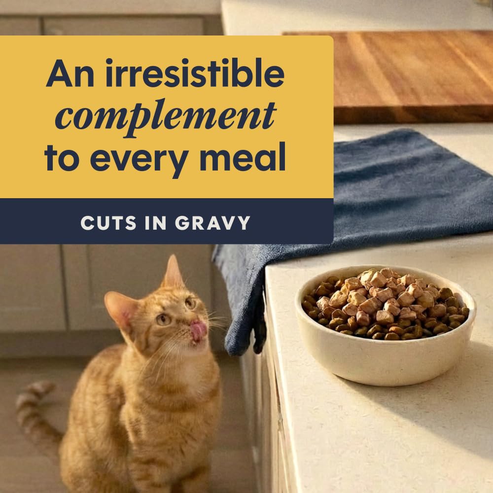 Instinct Healthy Cravings para Gato, Receta de Pollo 24 pack