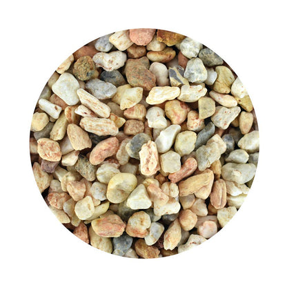 Lomas Grava P/Acuario - Grano Grueso 3 kg + Plantas para Acuario 3" (7.5 cm), 6 Piezas