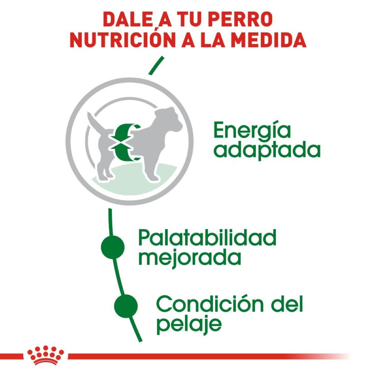 ROYAL CANIN, Adult - Small, Croquetas para Perro, 13.6kg
