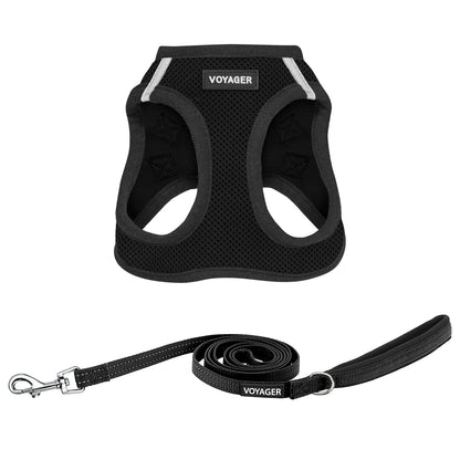 Best Pet Supplies Arnés Voyager Step-In Air para Perro, Todo Clima - S (Chest: 14.5 - 16") - Juego de correa de arnés (negro)