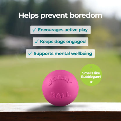 Jolly Pets Bounce-n-Play - Pelota de Juguete para Perro, 6 Pulgadas, Rosa, 6 Pulgadas/Mediano (2506 Unidades)