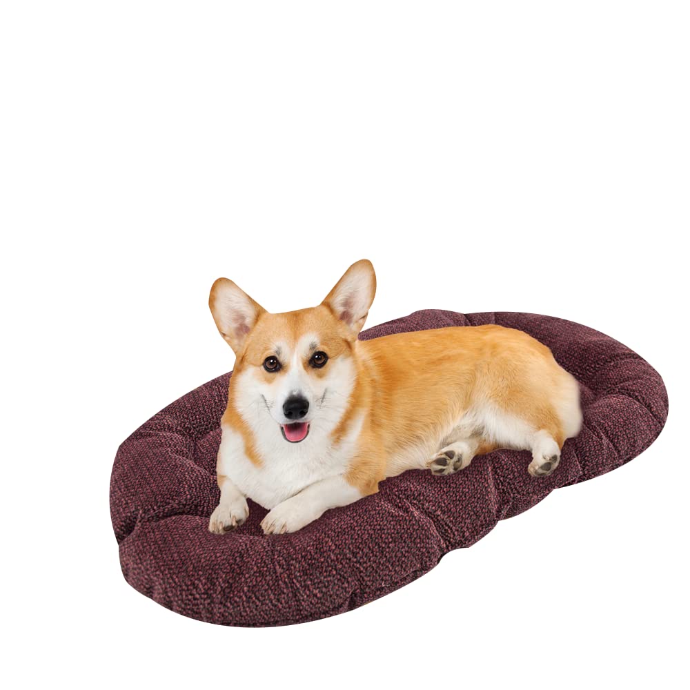 Fancy Pets Cojín Med para Cama de Plástico – 66x 44 cm, Tela Suave y Resistente, Descanso Cómodo para Perros, Colores Surtidos