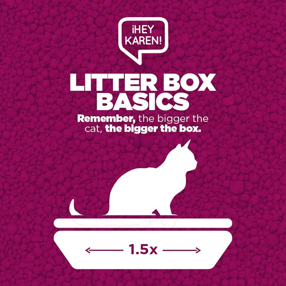 ¡Hey Karen! Arena para Gato 15 kg, Standard, Elimina olores al Contacto, Rápida Absorción, Baja en Polvo, Limpieza fácil, con Aroma | 3 Bolsas de 5kg c/u