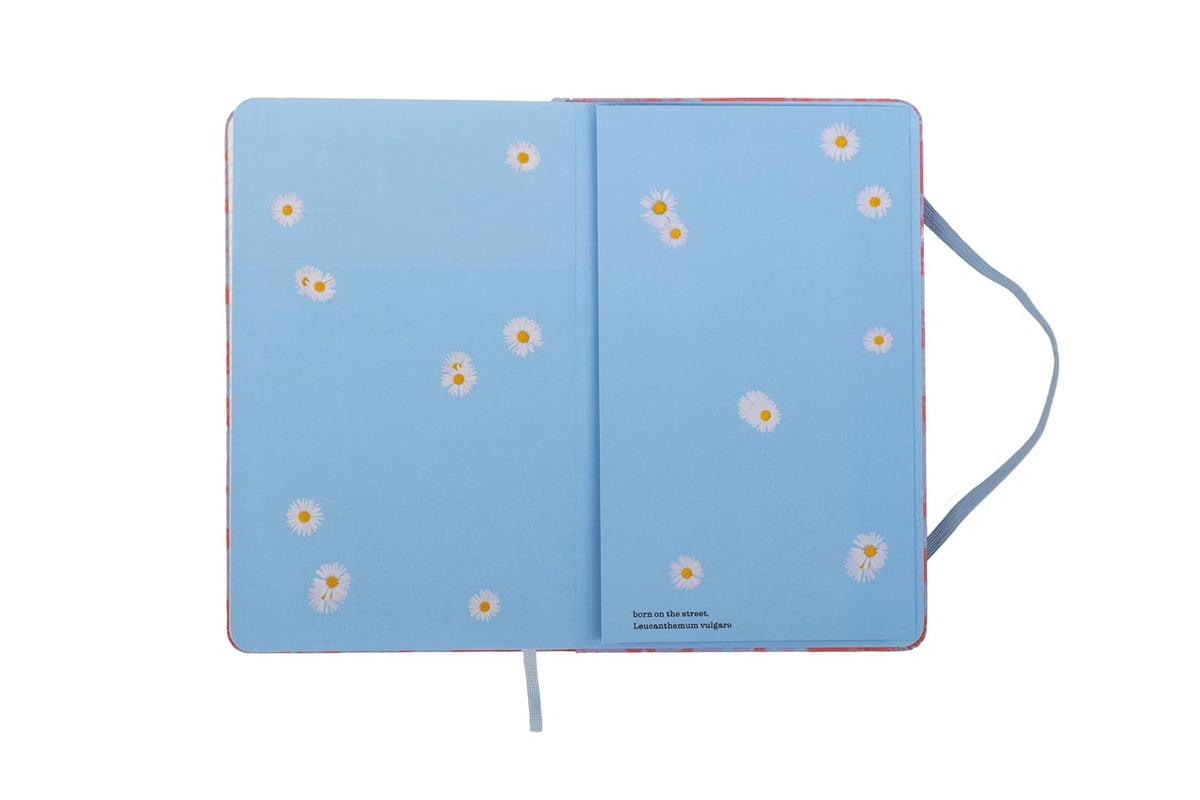 Moleskine - Cuaderno de edición personalizada, tapa dura, rayas, grande (5 x 8.2 pulgadas), lavanda suave/rojo, 240 páginas
