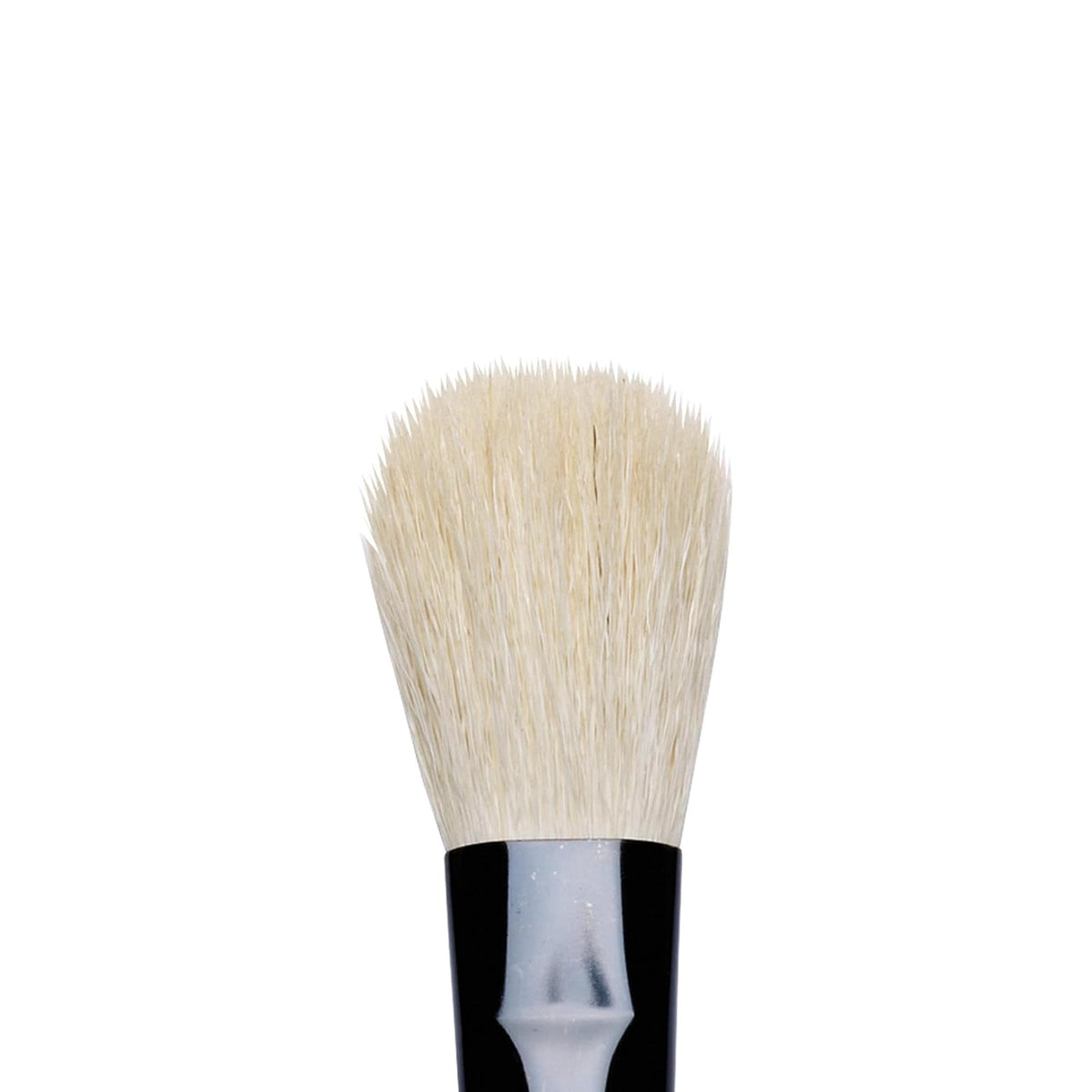 Winsor & Newton Series Mango, de Lavado, brocha, Series 240 Pelo de Cabra, #2, 1