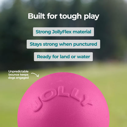 Jolly Pets Bounce-n-Play - Pelota de Juguete para Perro, 6 Pulgadas, Rosa, 6 Pulgadas/Mediano (2506 Unidades)