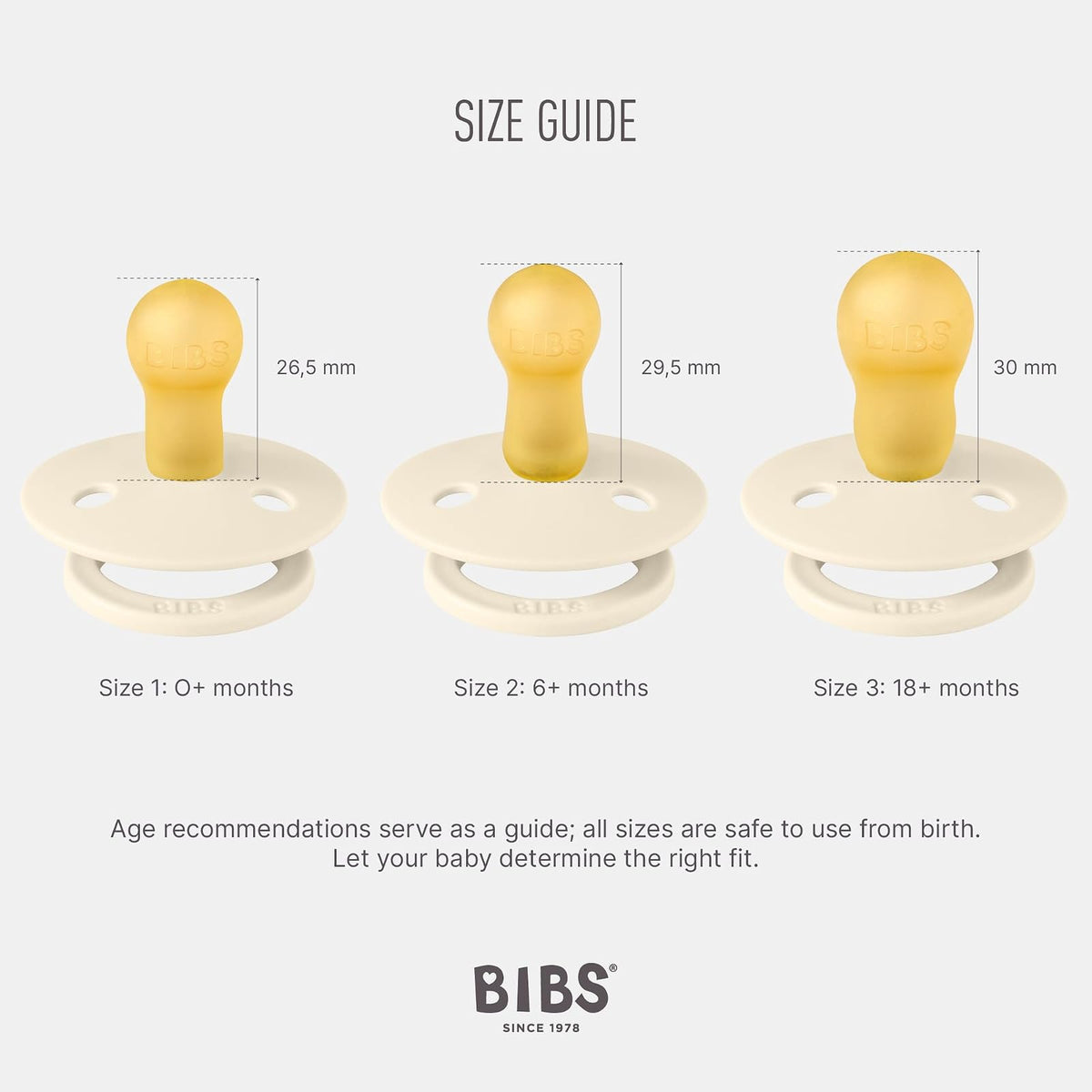 BIBS 5713795221554 PACIFIER, Nordic Mint/Forest Lake, 2 piezas