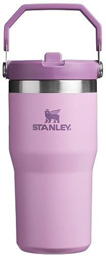 Stanley IceFlow - Vaso de acero inoxidable – Botella de agua aislada al aspiradora para el hogar, la oficina o el automóvil, taza reutilizable con popote resistente a fugas, tapa fría durante 12 horas o
