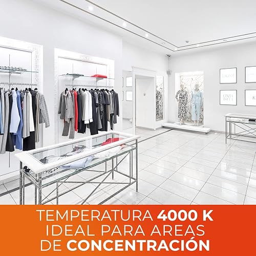 Tecnolite - Lámpara de Techo LED Forma Circular Majoris, Iluminación Interiores, Casa u Oficina, Tipo de Luz Neutra, Potencia 9 Watts, Flujo Luminoso 700 Lumens, Cor de luz Blanca Neutra
