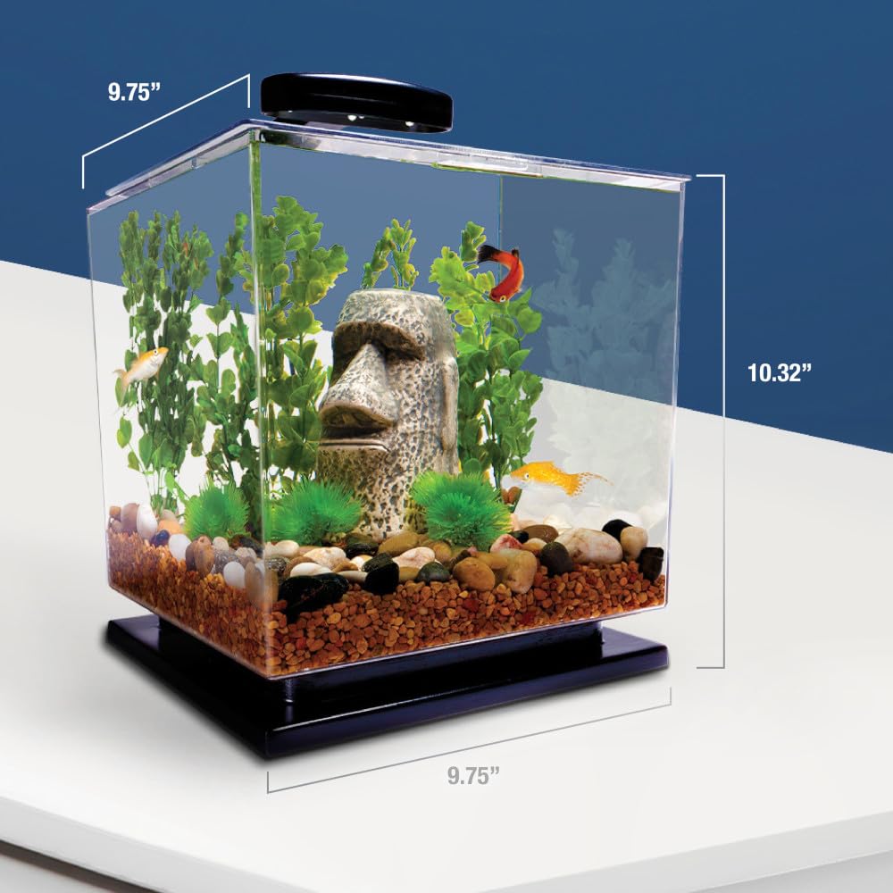 Tetra 29095 Cube Aquarium Kit, 3-Gallon