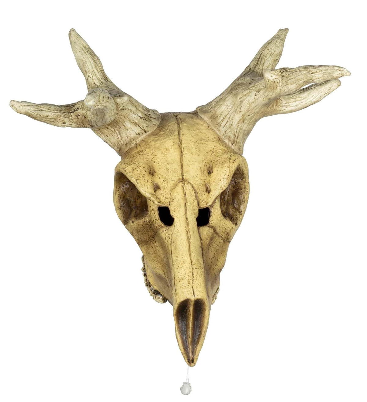 Ghoulish Productions Decoración de látex Deer Skull LED. Decoración de Venado para Halloween. Cuernos de Venado Decoración Halloween. Ideal para Usar en Fiestas de Halloween, casa embrujada, bromas