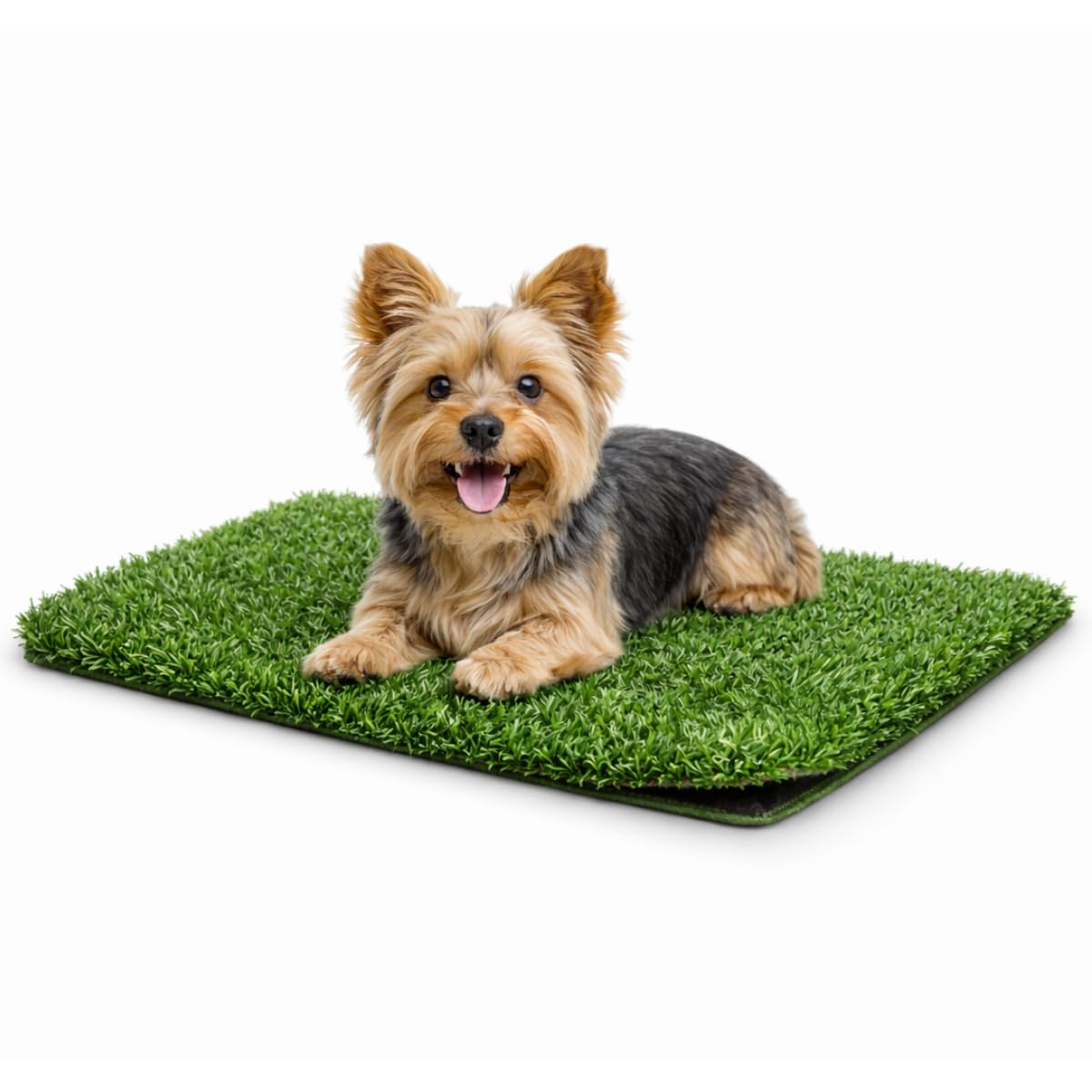 Fancy Pets Repuesto de Pasto para Doggie Grass XCH, Tapete Antimicrobiano para Perros, Fácil Limpieza y Resistente