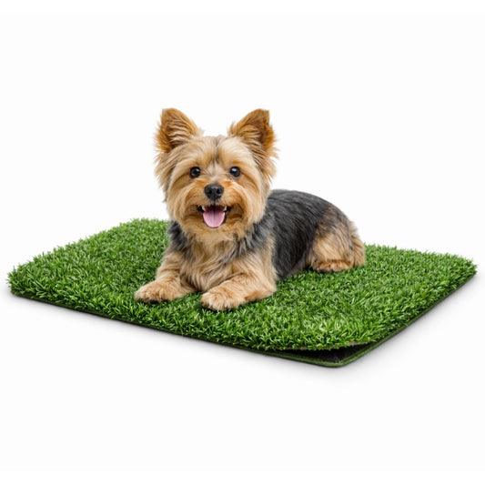 Fancy Pets Repuesto de Pasto para Doggie Grass XCH, Tapete Antimicrobiano para Perros, Fácil Limpieza y Resistente