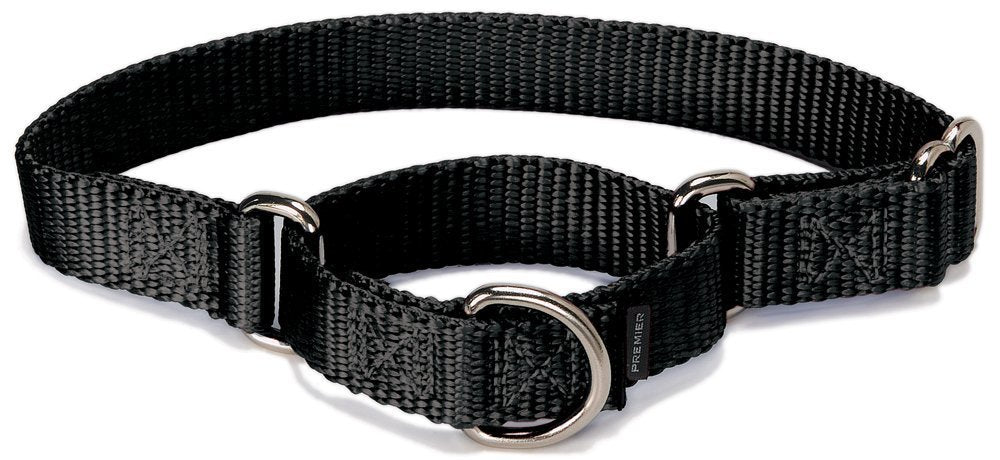 PetSafe Collar Martingale para Perro, Ajuste Antiescape - MEDIUM (NYLON WIDTH 1") - NEGRO