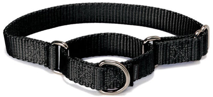 PetSafe Collar Martingale para Perro, Ajuste Antiescape - MEDIUM (NYLON WIDTH 1") - NEGRO