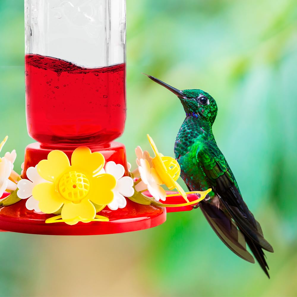 Redkite Bebedero de Vidrio Prisma para Colibrí 600 ml – Fácil de Colgar, Transparente y Resistente, Ideal para Jardín y Decoración del Hogar