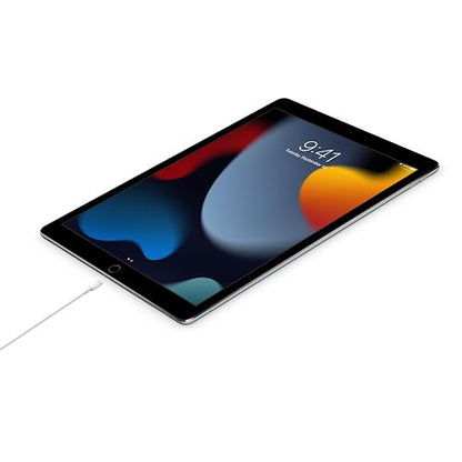 Apple Cable de USB-C a Lightning (1 m) ​​​​​​​