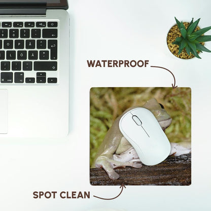 3dRose 8 x 8 x 0.25 Whites Dumpy Frog Litoria Caerulea Adam Jones Mouse Pad (mp_83643_1)