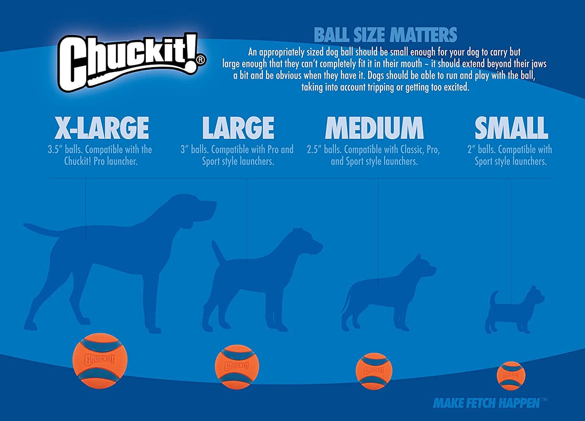 ChuckIt! Tennis Ball, Orange, Extra Large, 2-Pack