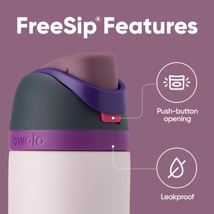 Owala FreeSip Insulated Stainless Steel Water Bottle with Straw for Sports and Travel, BPA-Free, 24oz, Dreamy Field