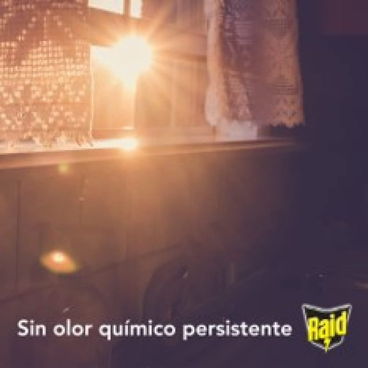 Raid Casa y Jardín Insecticida Aerosol Mosquitos e Insectos 3x430 ml
