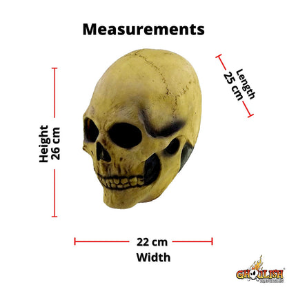 Ghoulish Productions Bone Skull, Máscara de Craneo de Esqueleto de Calaca, Máscaras de Calaveras de la Muerte Ideal para Disfraz de Halloween y Día de Muertos