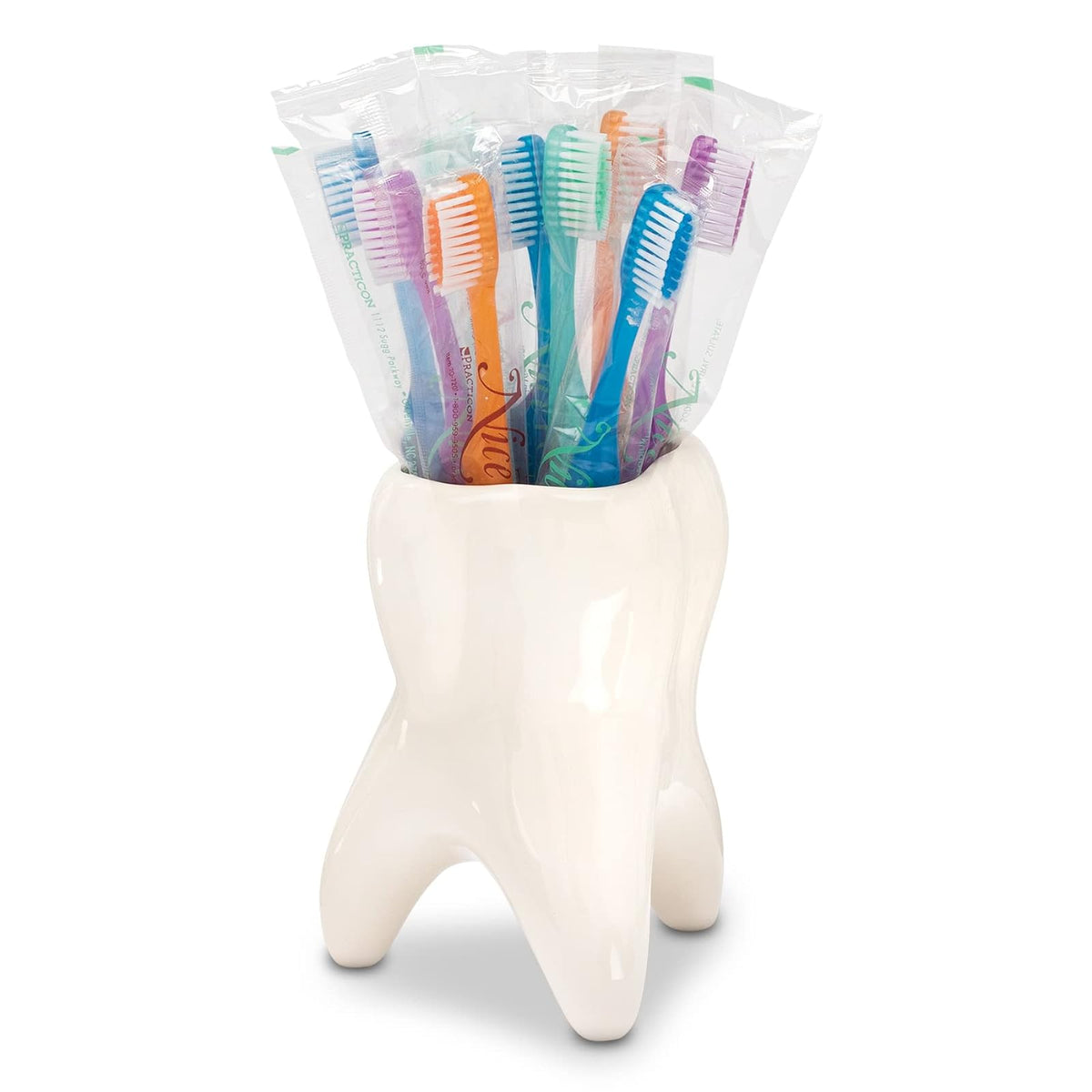 Practicon 9072710 Recipiente con forma de muela