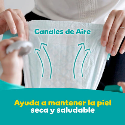 PAMPERS Baby Dry Pañales Desechables Unisex Etapa 7, 54 Uds, Bebé +19 Kg