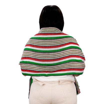 REV Accesorios Reboso Básico Tricolor, Vestimenta Fiestas Patrias Mexicanas, Diseño Viva México, 45x105cm