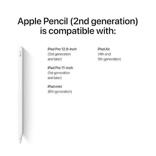 Apple Pencil (Segunda generación) - 2025