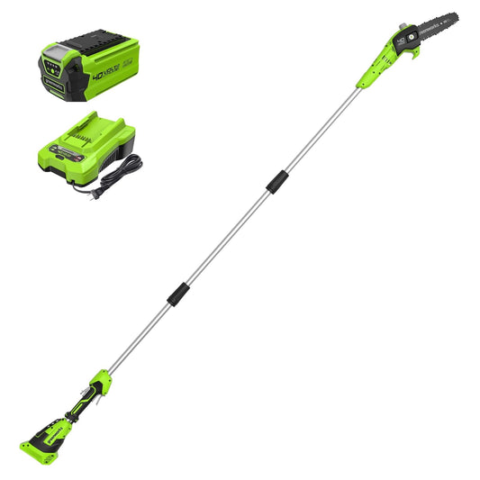Greenworks PS40B210 - Poste inalámbrico de 40 V, 8 Pulgadas, batería de 2.0 Ah y Cargador Incluido
