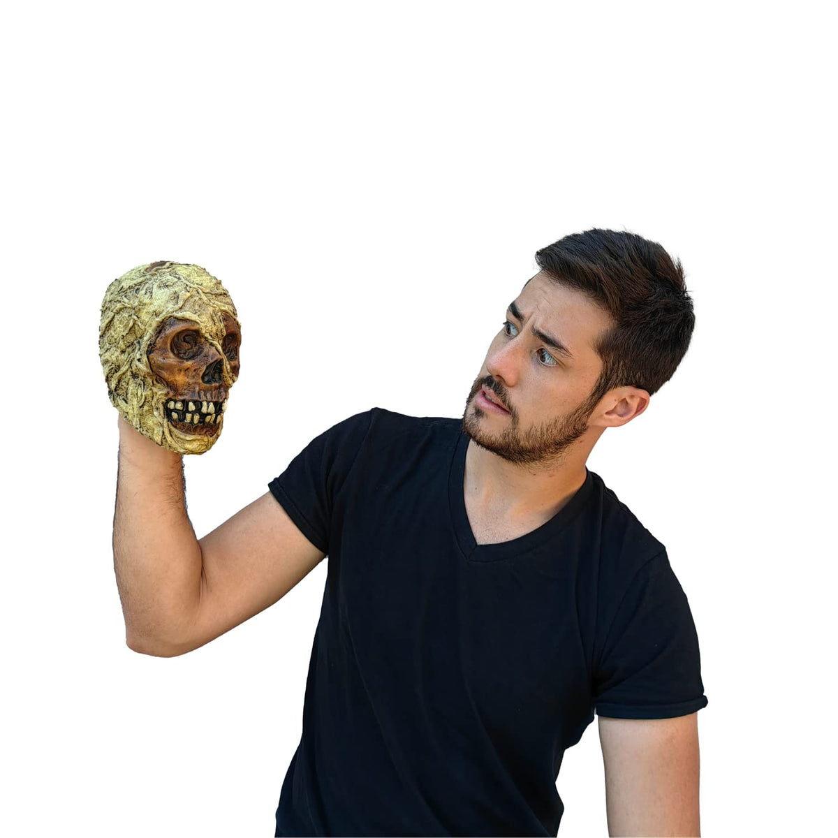 Ghoulish Productions Mummy Skull, Artículo Decorativo de Craneo Cabeza de Momia, Adorno para Decoración de Halloween de Momias Ideal para Casa de Terror y Día de Muertos