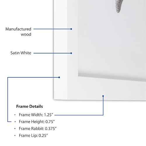 ArtToFrames 6x11 Inch Satin White Frame Picture Frame, 2WOMFRBW26074-6x11