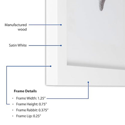 ArtToFrames 6x11 Inch Satin White Frame Picture Frame, 2WOMFRBW26074-6x11