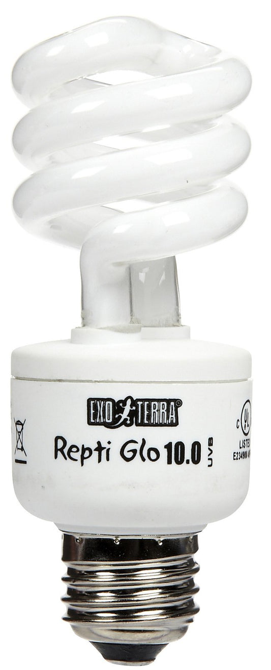 Hagen Foco Exo Terra Repti Glo