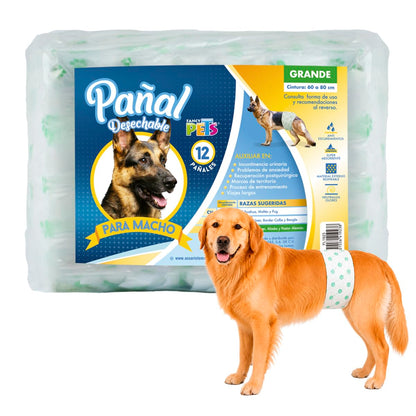 Fancy Pets Pañal para Perro Macho Tamaño Grande con 12 Piezas