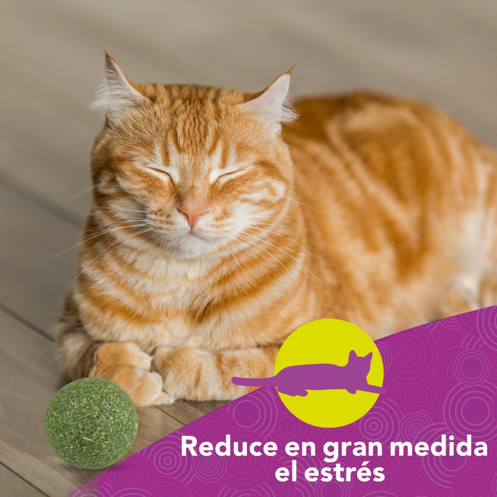 Fancy Pets Esferas de Catnip para Gato 3 Piezas de Catnip Natural para Juego Estimulación y Enriquecimiento Ambiental